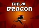 Ninja Dragon